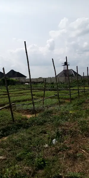 Beautifully Buy And Build 1 Plot Of Land Off Sars Road
