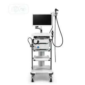 HD350 Video Endoscope/Endoscopy System