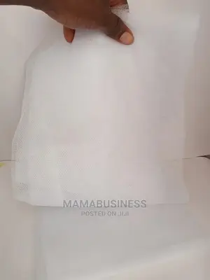 Mosquito Window Net Mesh Curtain Protector - White