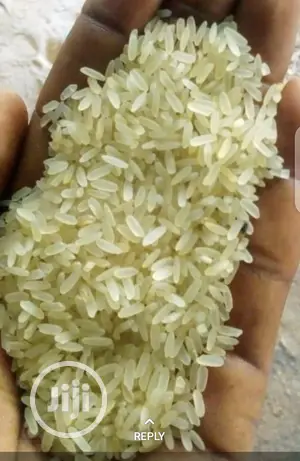 Best Nigerian Rice