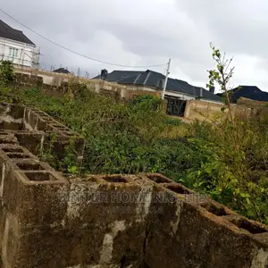 Photo - A Plot of Land With Register Survey