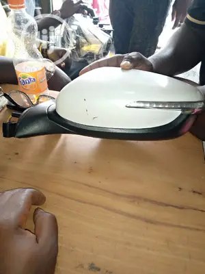 Side Mirror Assy