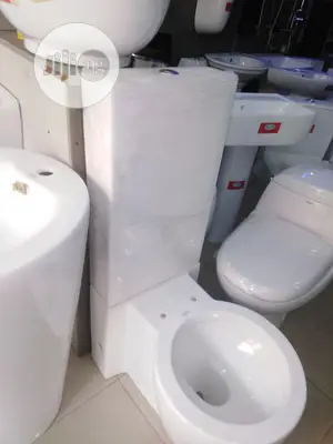Italian Executive Top Flush Wc