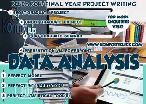 Project Writing And Data Analysis