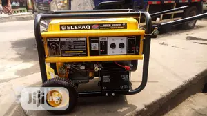 Brand New Elepaq Constant(Sv22000e2)11kv Generator 