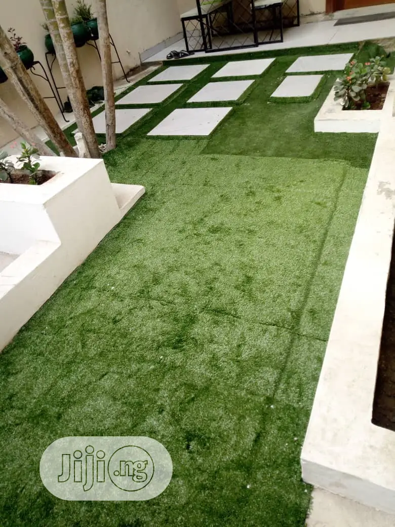Carpet Grass / Artificial Grass
