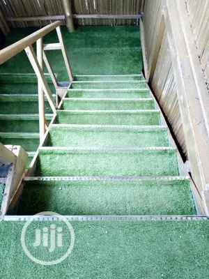 Carpet Grass / Artificial Grass
