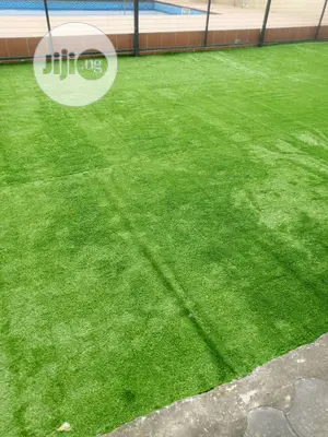 Carpet Grass / Artificial Grass