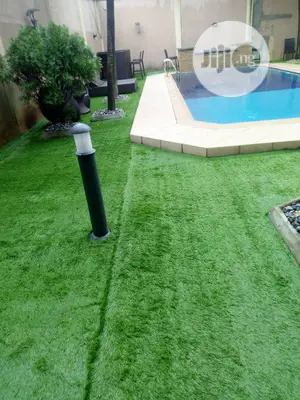 Carpet Grass / Artificial Grass