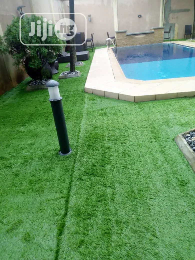 Carpet Grass / Artificial Grass