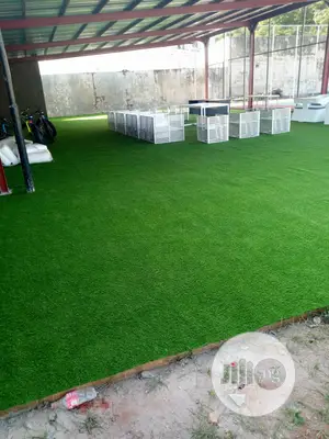 Carpet Grass / Artificial Grass
