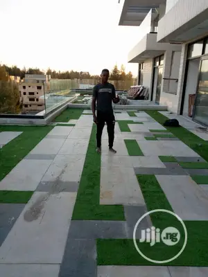 Carpet Grass / Synthetic Grass/ Grass