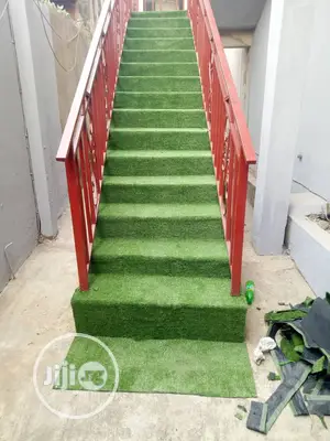 Carpet Grass / Synthetic Grass/ Grass