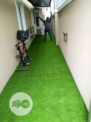 Artificial Grass
