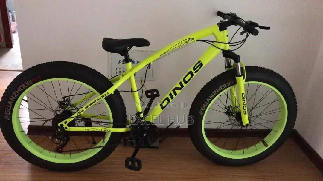 Dinos Quality Bicycle