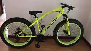 Dinos Quality Bicycle