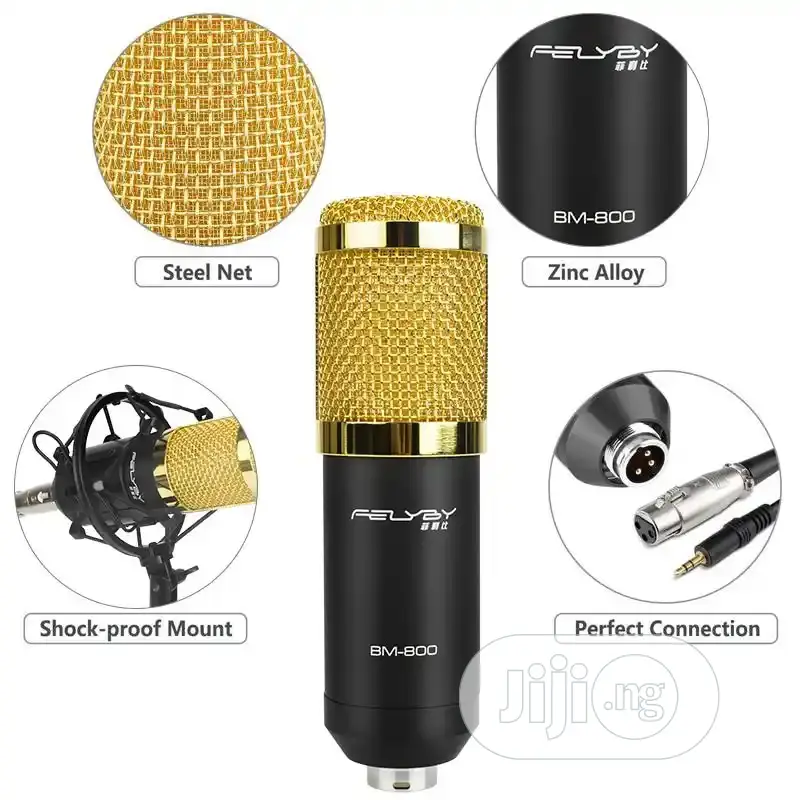 Professional Studio Mic With Stand