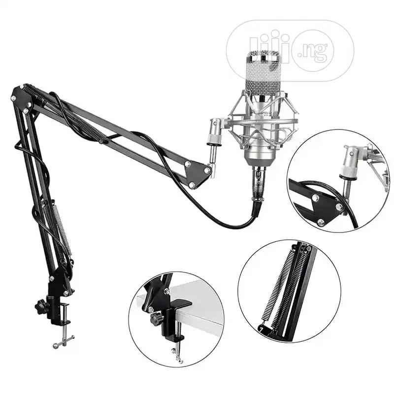 Professional Studio Mic With Stand