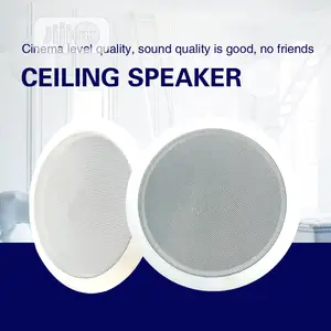 Full Package Public Ceiling Speaker Public Address System