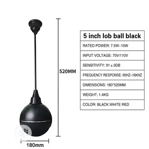 Drop Ball Ceiling Speaker.