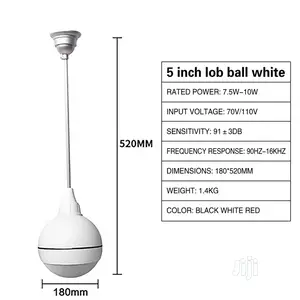 Drop Ball Ceiling Speaker.