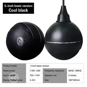 Drop Ball Ceiling Speaker.