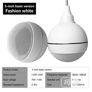 Drop Ball Ceiling Speaker.