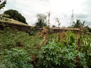 17 Plots of Land Off Owutu Ishawo Rd, via Agric B/St Ikd