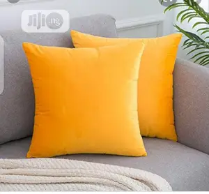 2pcs of Super Throw Pillows