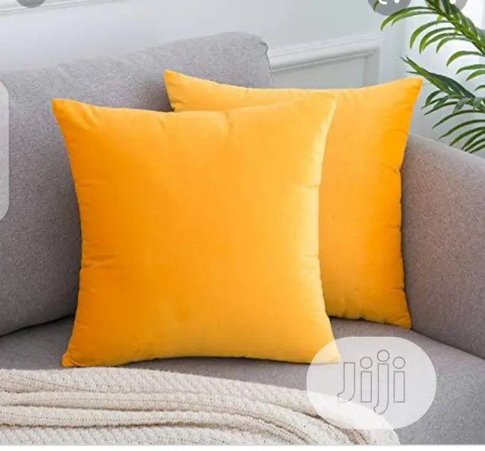 2pcs of Super Throw Pillows