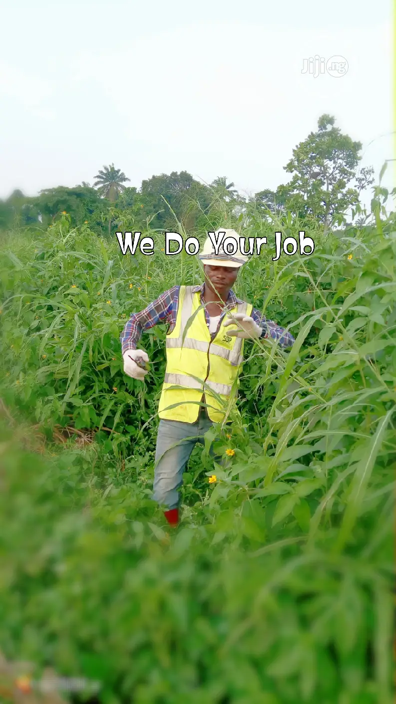 Surveyor Engineer