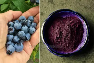 Blueberry Powder 1kg