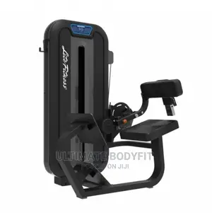 Brand New LD8031 Back Extension Machine