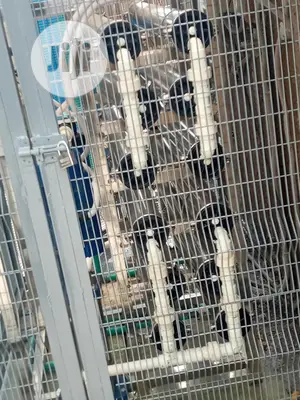 4 Membrane R O Water Treatment