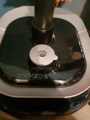 Garment Steamer