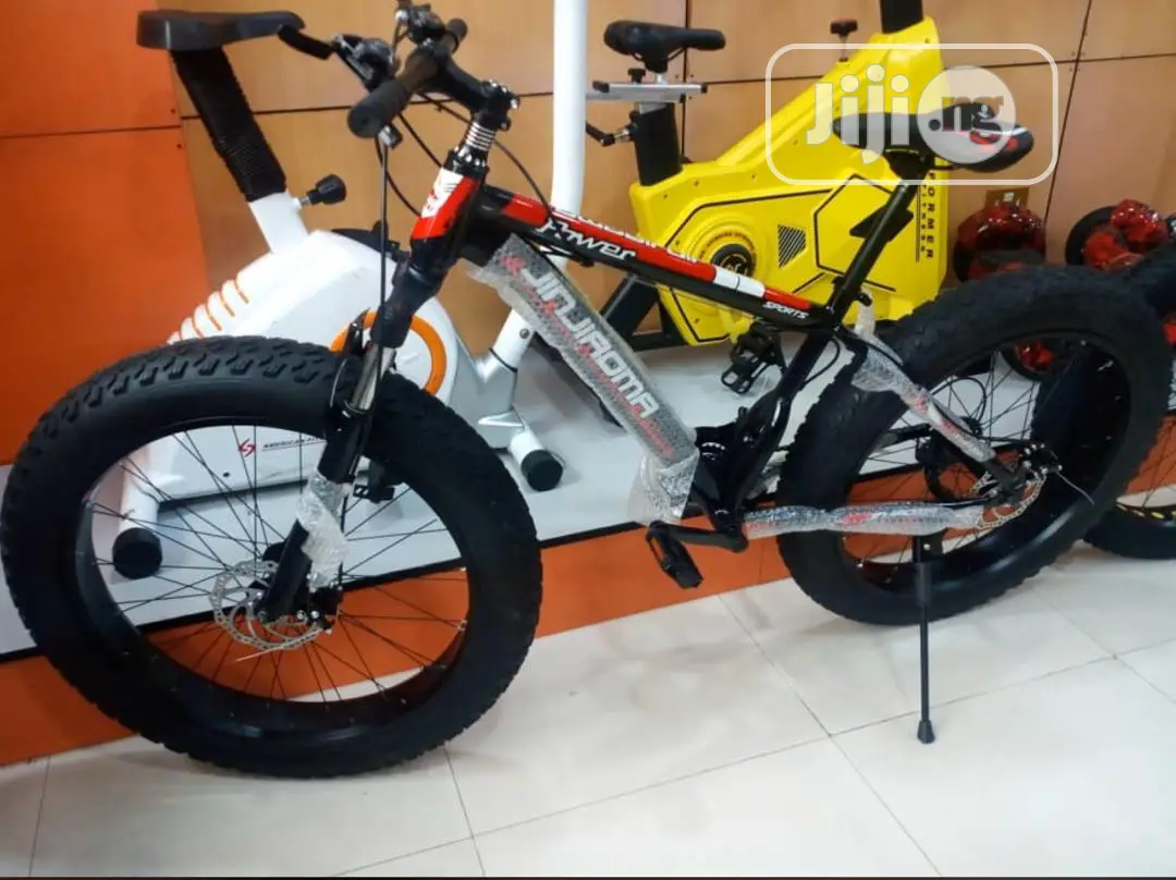 Fat Tyre Bicycle