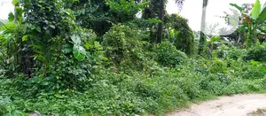 130Plots( 13 Hectares ) of Land for Outright Sale