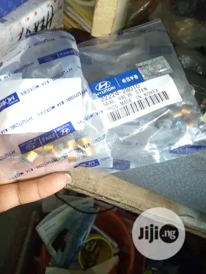 Engine Valve Seal Hyundai and Kia Motors