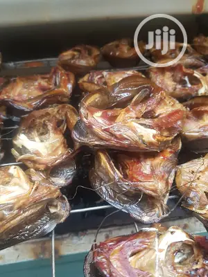 Cats Fishes