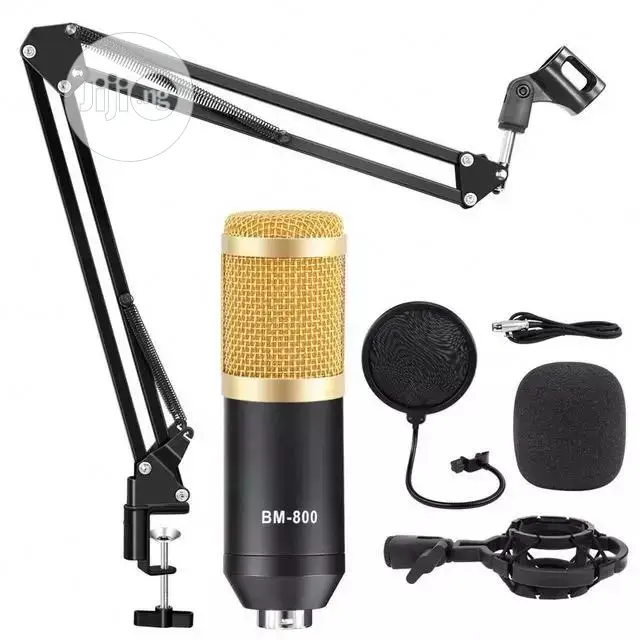 Studio Mic/Suspension Boom, Pop Filter and Accessories