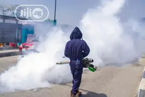 Say No to Pest, Fumigate Your Apart Today