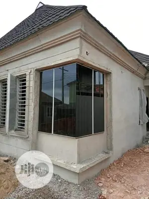 Frameless Window With Burglary and Net