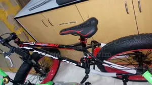 Adult Riding Exercise Bike With Fat Tires