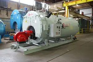 Industrial Steam Generator/Boiler