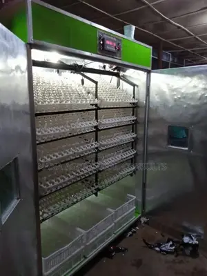 Incubator 500 Capacity Automatic Can Use Gas Electricity