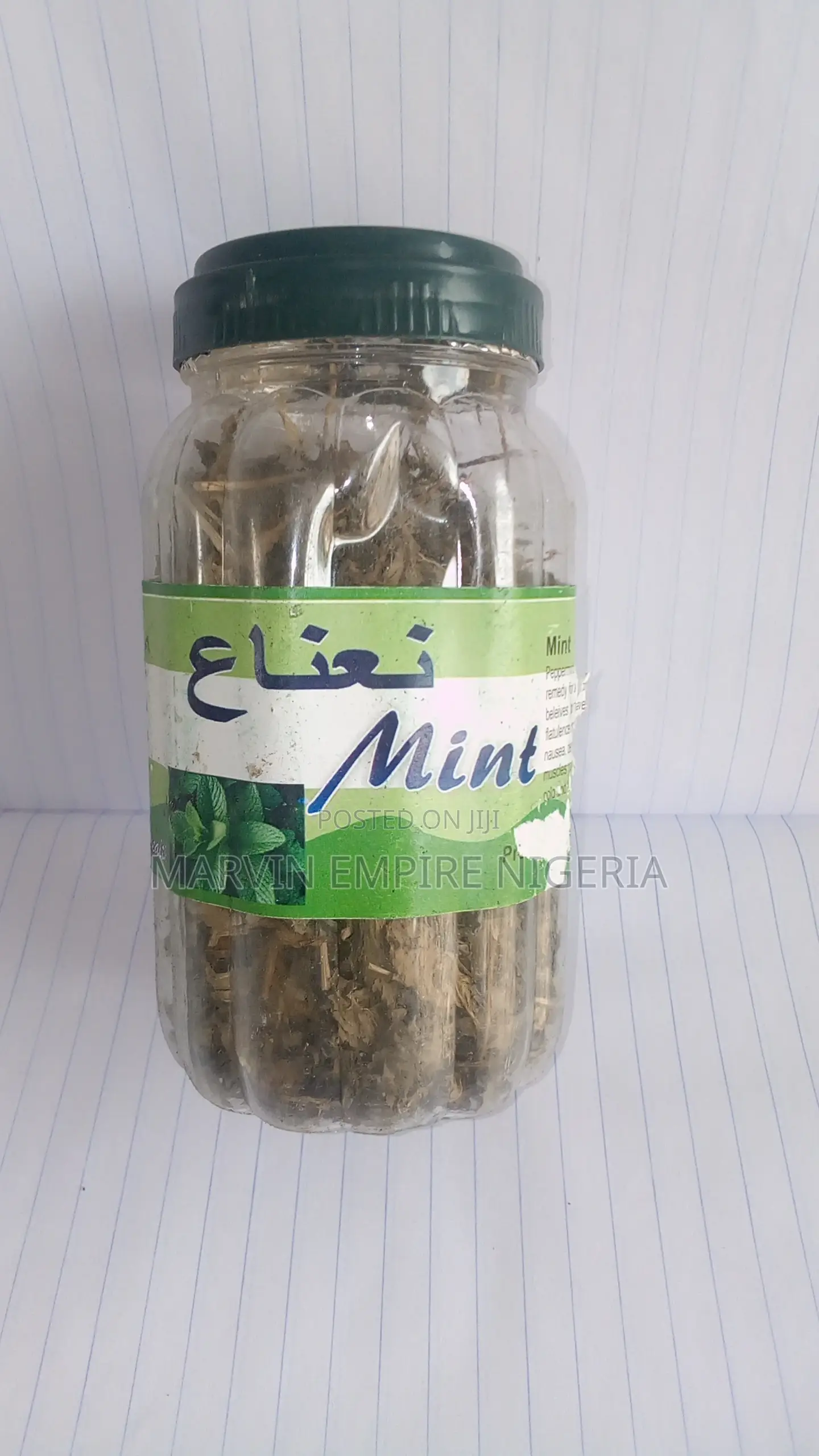 Mint Herbal Antibiotics Peppermint