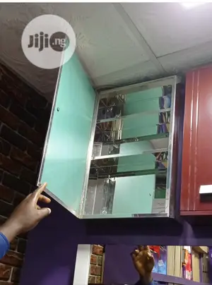 Stainless Cabinet Mirror
