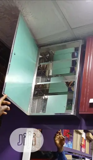 Stainless Cabinet Mirror