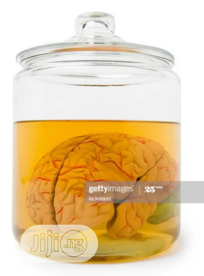 Specimen Jar For Schools Laboratory