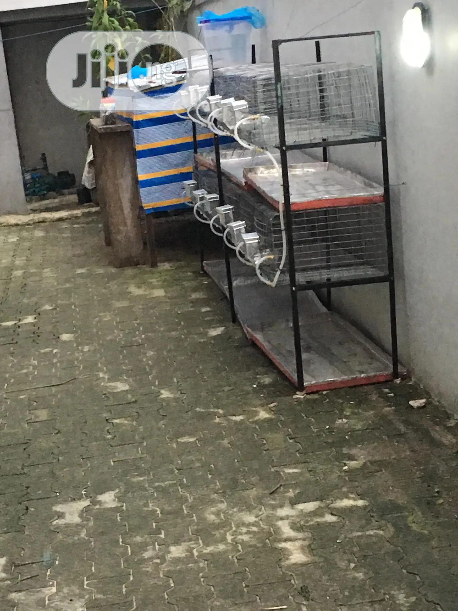 Rabbits Cages Construction and Sales - Ray Man Price: ₦ 170,000 on Jiji ...